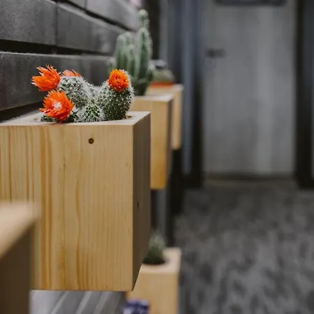 Joker * Новы-Двур-Гданьский